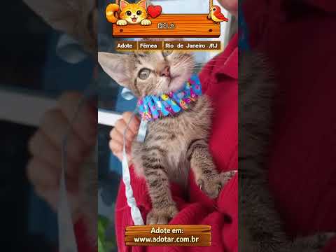 Vídeo de BELLA