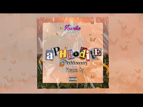 Pinkbarney feat. Marcus Ali - Aphrodite