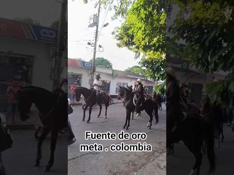 fuente de oro meta en sus fiestas