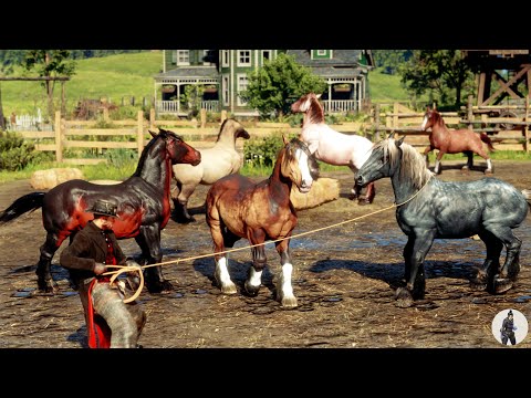 Arthur Morgan Finds a Ranch of Scared Breton Horses at Emerald Ranch and Sets Them Free 🐎🌿