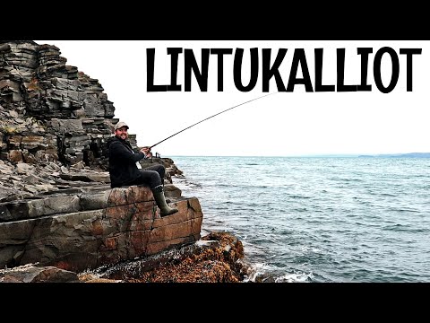 NORJAN LEGENDAARISIN KALAPAIKKA - VARANGINVUONON LINTUKALLIOT - KALAREISSU NORJAAN 2023, OSA 4/5