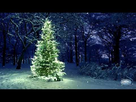 Videoclip de Christmastime — Stevie Wonder