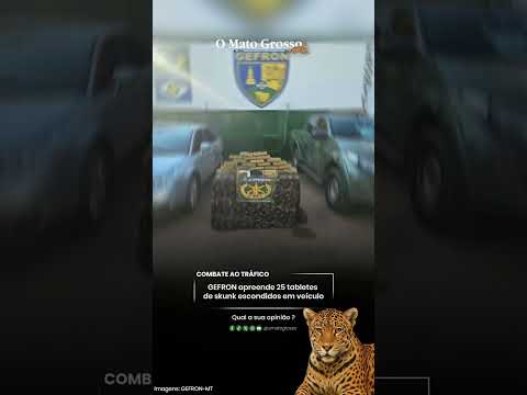 GEFRON apreende 25 tabletes de skunk escondidos em veículo