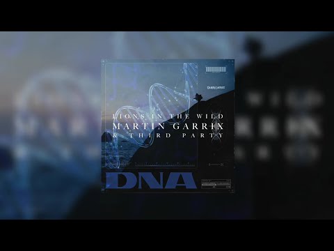 Lions In The Wild vs DNA (Yohann Warren Mashup) - Martin Garrix & Third Party vs Corey James...