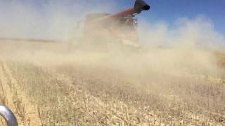 Seed Terminator fitted to Case IH 7240 Axial Flow Yerecoin Western Australia