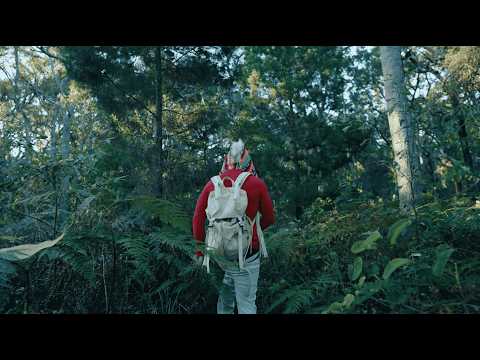 crazy caveman frog ft. cult shotta & jords (prod. DON!)