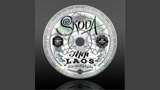 Skoda - Waiting