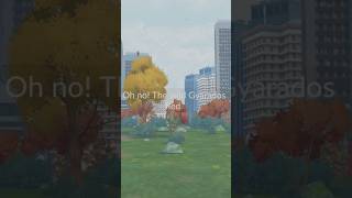 Oh no!! The wild Gyarados is gone... #pokemongo #pokemon #shorts #gyarados