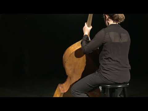 Figure 4.21 Double Bass Posture and Instrument Position