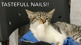 My cat bites his nails!! Because licking is never enough.