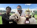 Inside the Secret Goat Fights of India