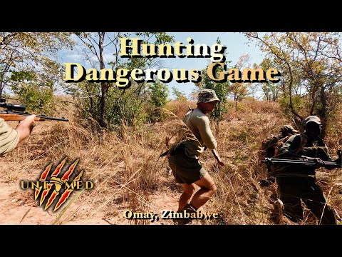 Cape Buffalo, BLACK MAMBAS and GIANT Crocs with Dalton & York Safaris!!!