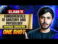 Fundamentals Of Anatomy Physiology In Sports Detailed Oneshot Unit 7 PE Class 11 CBSE 2025 26