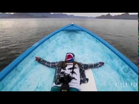 Experience the ocean giants of Baja! Video facade placeholder