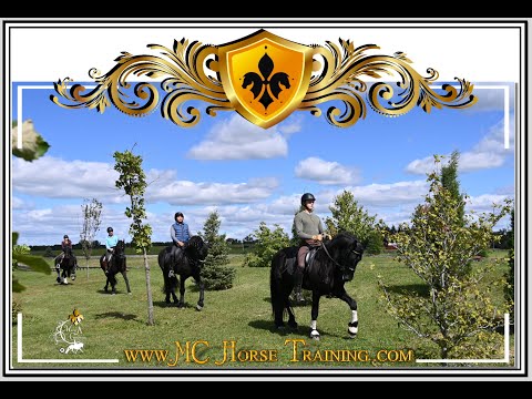 2022 FRIESIAN COLLECTION Sep  By MC   🇾🇪•IODYSSEUS  EROS GERENT ZORRO BC