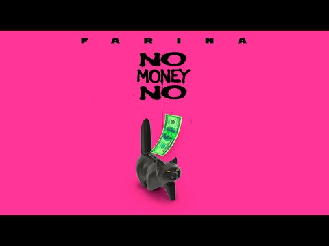 Miniatura de No Money, No Pussy
