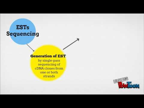 image-What is an EST in bioinformatics?