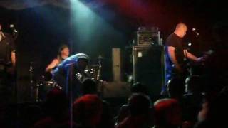 Last Resort - King of the Jungle