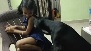 Judith playing with blackie may 2021