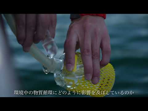【福井県立大学】海洋生物資源学科 片岡剛文准教授 微生物研究のための湖水試料採集法解説