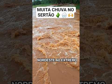 CENA IMPRESSIONANTE: A água chegou com tudo! 🌧️