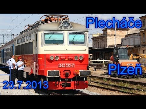 Plecháče v Plzni, 23.7.2013