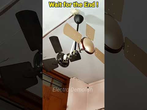 Wait for it... 😁  #shorts #youtube #trending #viral