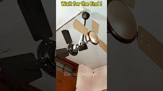 Wait for it... 😁  #shorts #youtube #trending #viral