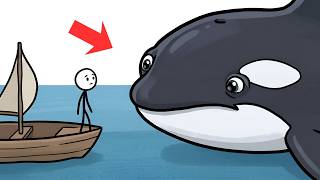 What Animals Think Humans Are?