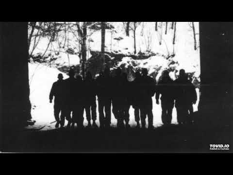 division S -Fy och usch