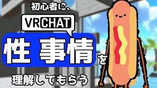 【VRChat】VRChat初心者に、VRChatの「正しい性知識」を教えてみたら？【再UP】