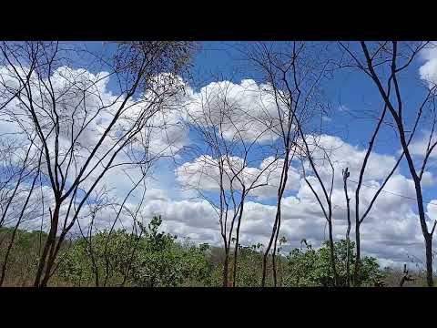 Martinopole Sertão Do Ceará 