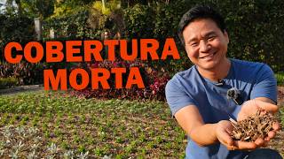 Miniatura do vídeo