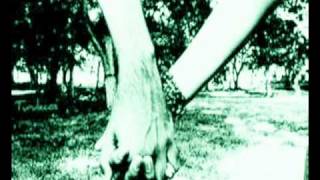 Jamas Vuelvas Conmigo -Duelo[Solamente Tu]