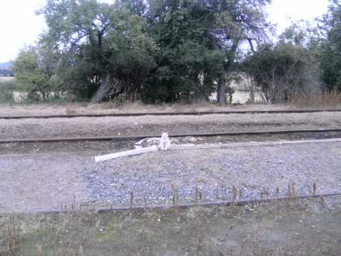 Na trempu-Běleč-Liteň-Lhotka-Lochovice