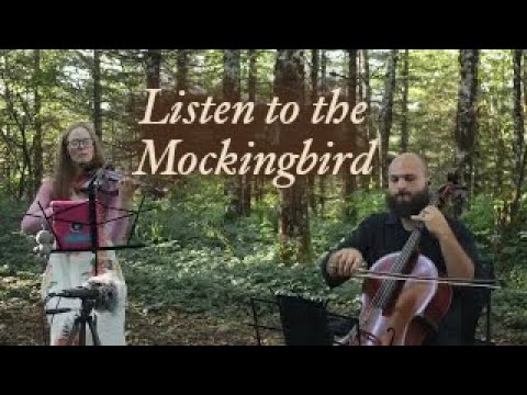 Promotional video thumbnail 12 for Lepard String Duo