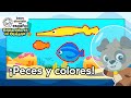 Peces Y Colores Exploradores Del Océano T1 Episodio 1 BabyEinsteinenEspanol