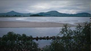 Otago Peninsula wildlife - Roadside Stories