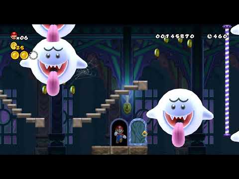 [TAS] Newer Falling Leaf 100% (in 14:24.74) by Azylum