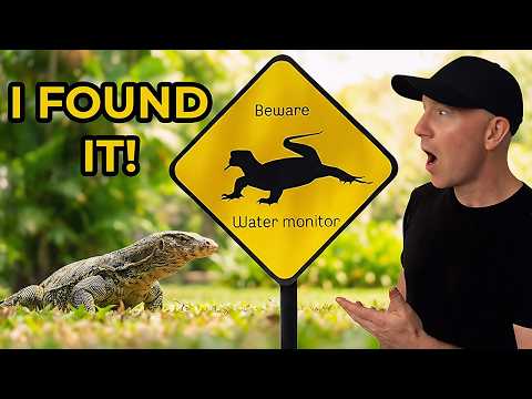 Hunting GIANT Lizards 🦎 in Bangkok | Easy English