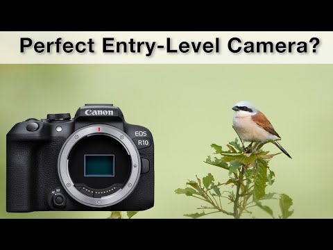Canon R10 Review - The perfect entry-level camera?