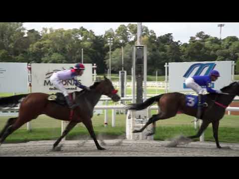 230401 c01 ALCURNIA BET