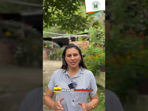 Rendición de Cuentas Vigencia 2025