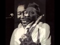 Muddy Waters - You need love (letra español ...