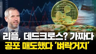 리플, 데드크로스? 가짜다…공포 매도했다 '벼락거지'