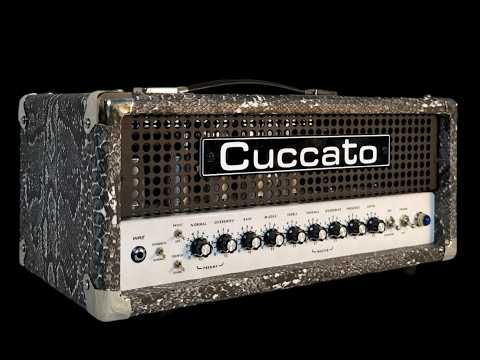 Hi Gain Guitar Amp Kit Eclectric SLMKO Snake Skin Soldano Style image 4