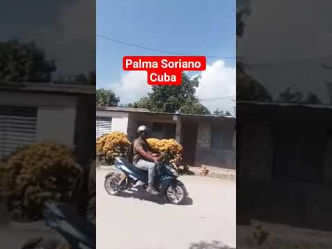 Carretera vieja a San Luis,  Palma Soriano, Cuba #palmasoriano #santiagodecuba #cuba