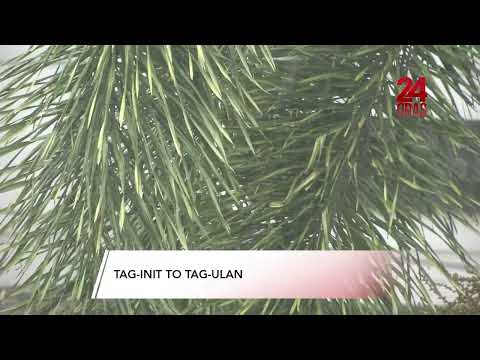 PAGASA: Nasa transition period na ng tag-init patungong tag-ulan 24 Oras