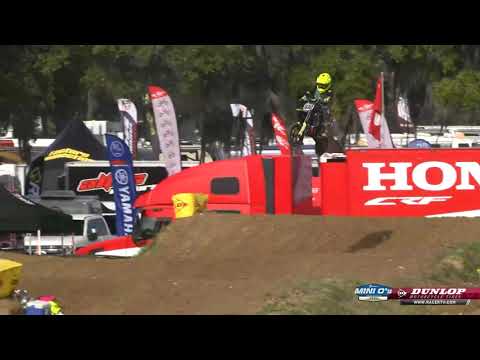 2019 Mini O's - SX MAIN - 51 (7-8) Limited