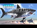 Shark Size Comparison: Megalodon vs. Great White!